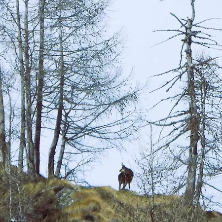 Casa Di * Antronapiana