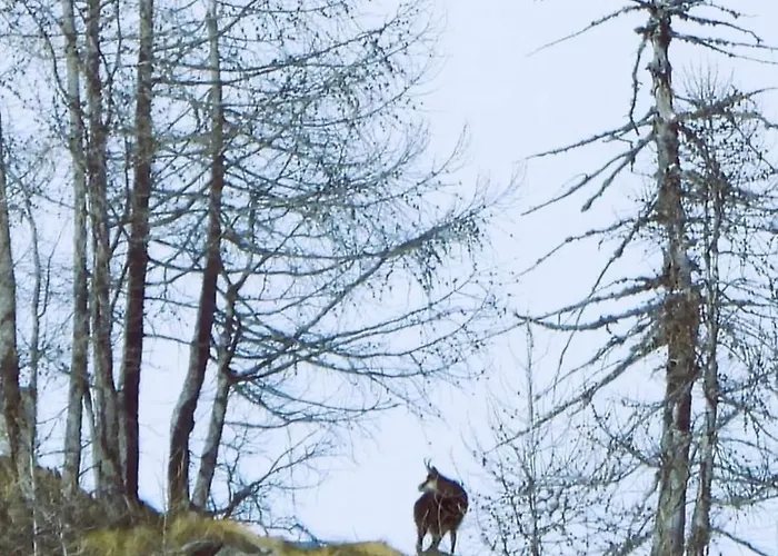 Casa Di * Antronapiana